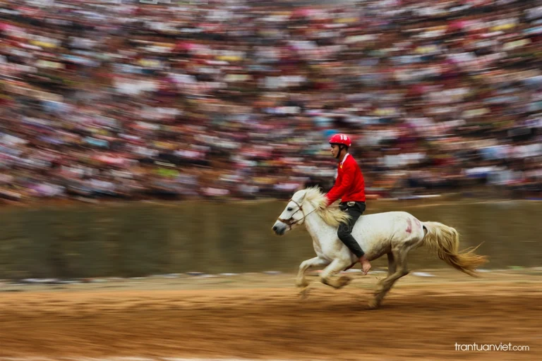 Horse Racing in Tuyen Quang