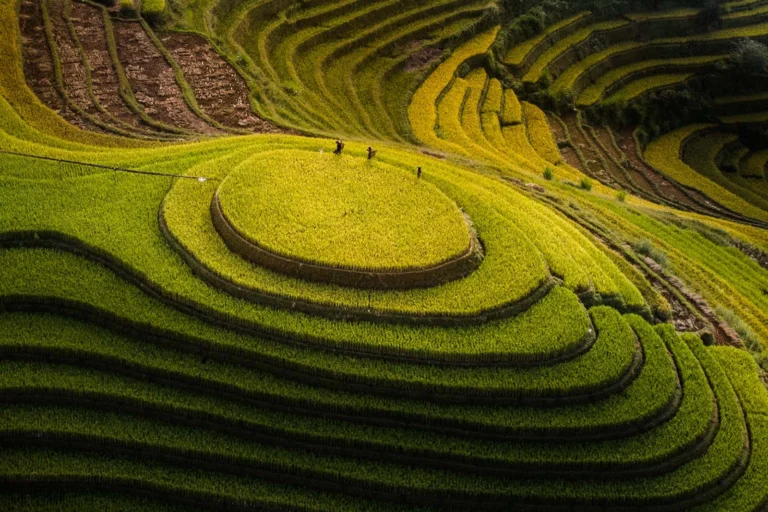 Mu Cang Chai Rice Terraces
