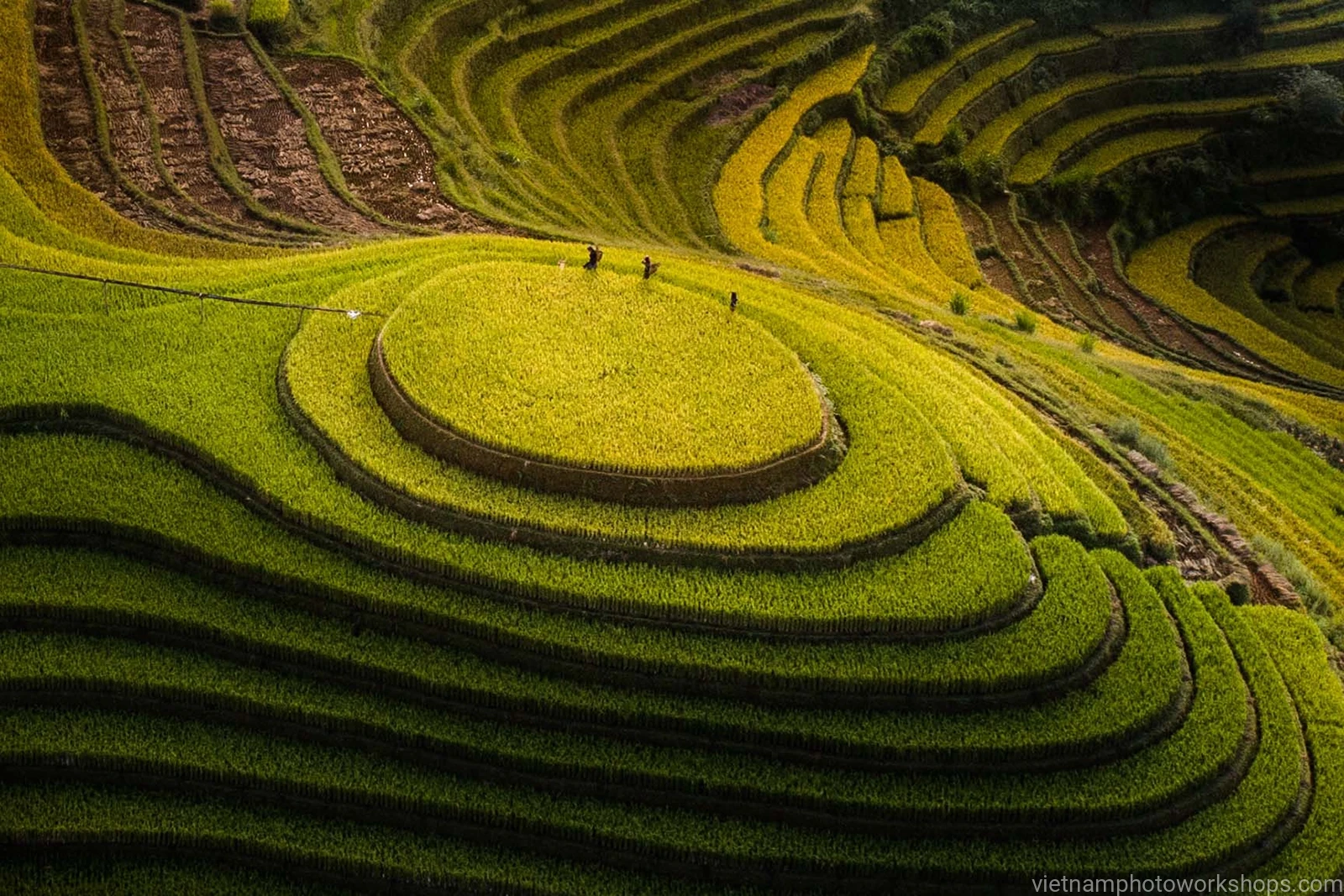 Mu Cang Chai Rice Terraces