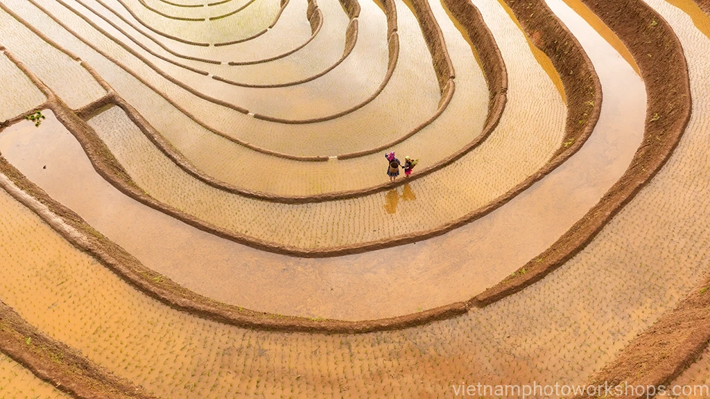 Mu Cang Chai - Water Season