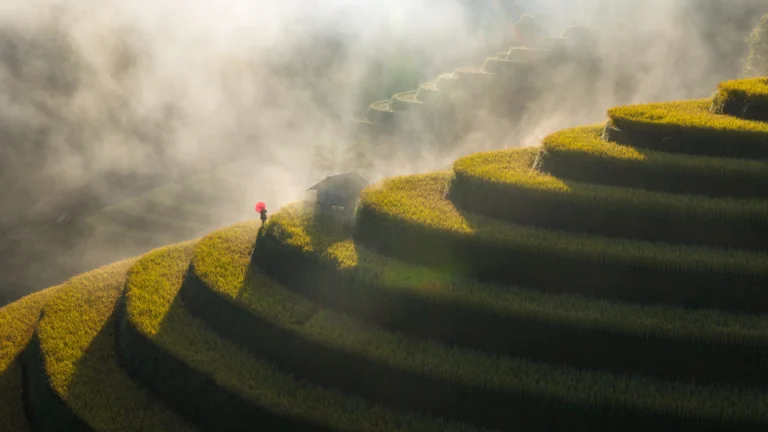 Mu Cang Chai