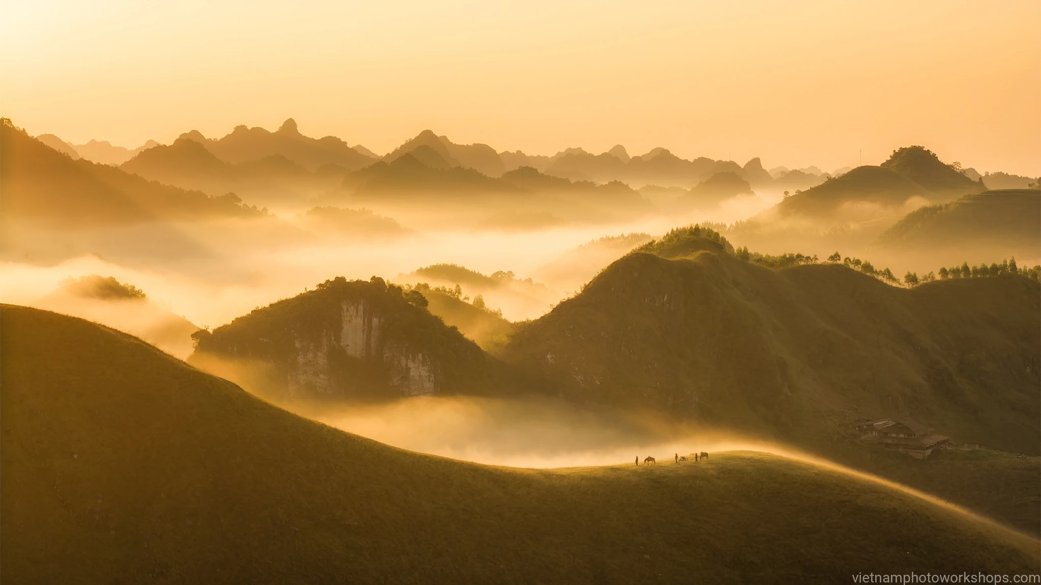 Vietnam Photography Workshops